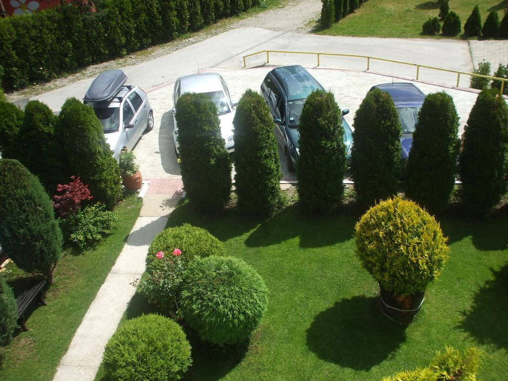 Villa Bozovic Златибор Екстериор снимка