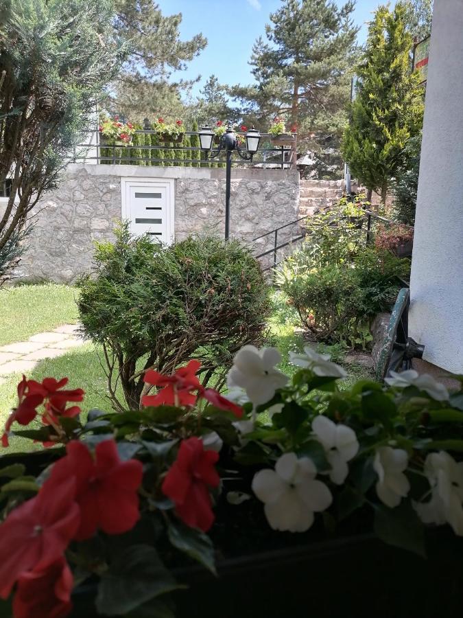 Villa Bozovic Златибор Екстериор снимка