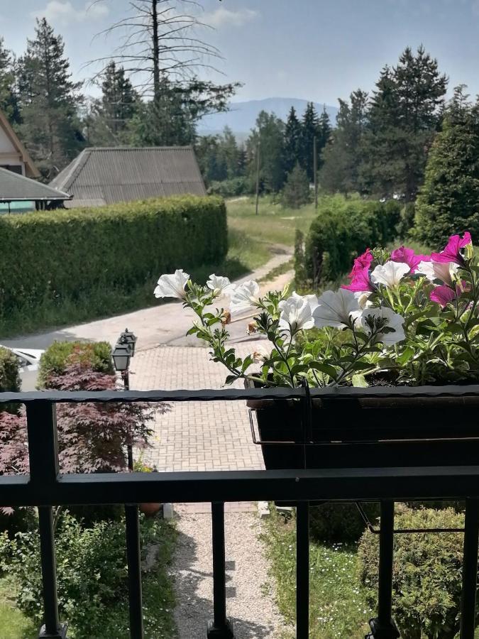 Villa Bozovic Златибор Екстериор снимка